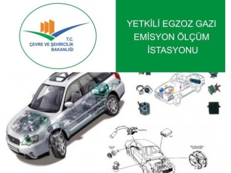 EGZOZ EMİSYON